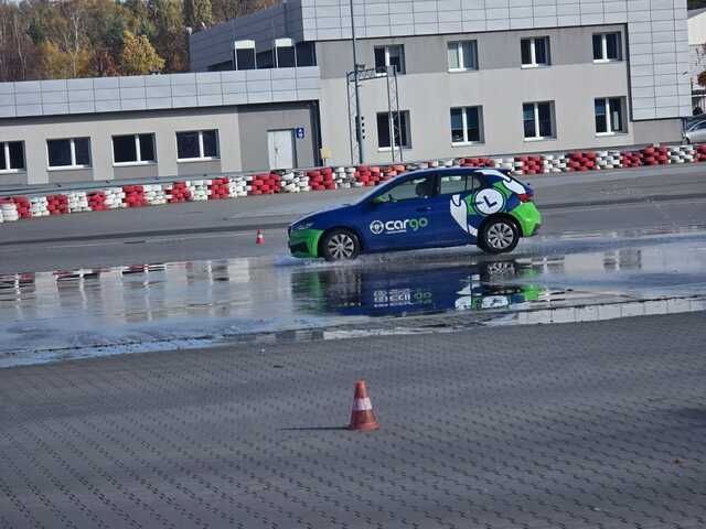 Zdjęcie WhatsApp 2025-10-25 o 13.06.01_0b5fabcf